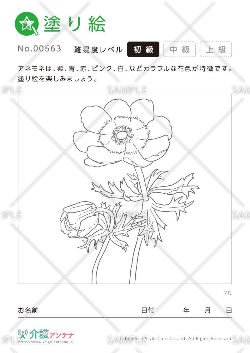塗り絵「2月の花 アネモネ」 - No.00563(高齢者向け塗り絵の介護レク素材)