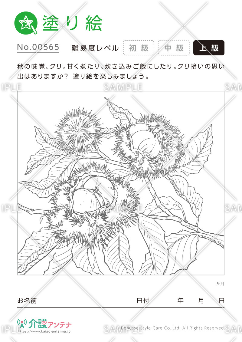 塗り絵「9月の植物 栗」- No.00565(高齢者向け塗り絵の介護レク素材)