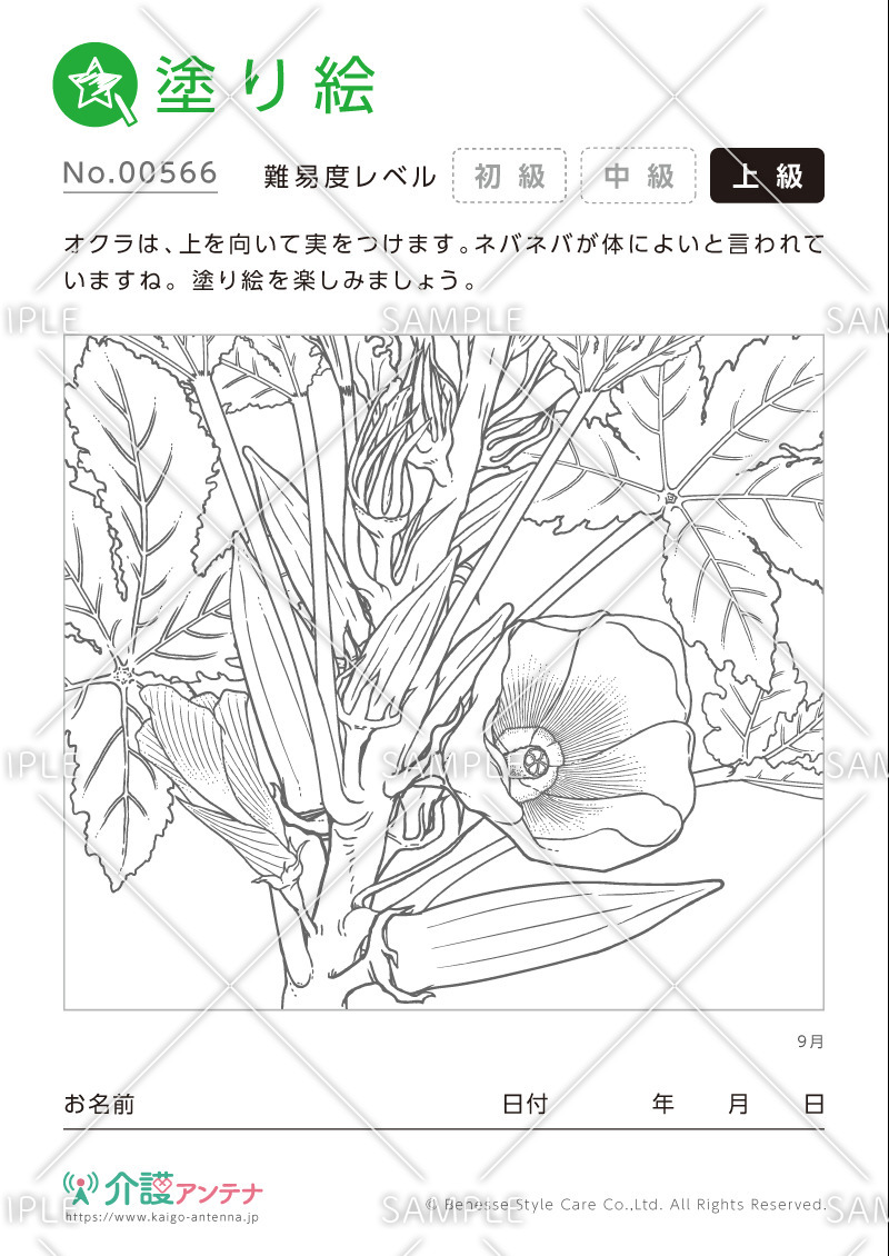 塗り絵「9月の植物 オクラ」- No.00566(高齢者向け塗り絵の介護レク素材)