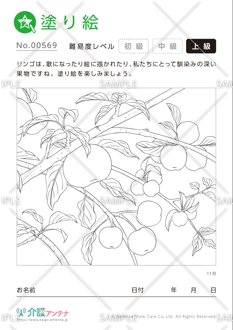 塗り絵「11月の植物 リンゴ」- No.00569(高齢者向け塗り絵の介護レク素材)