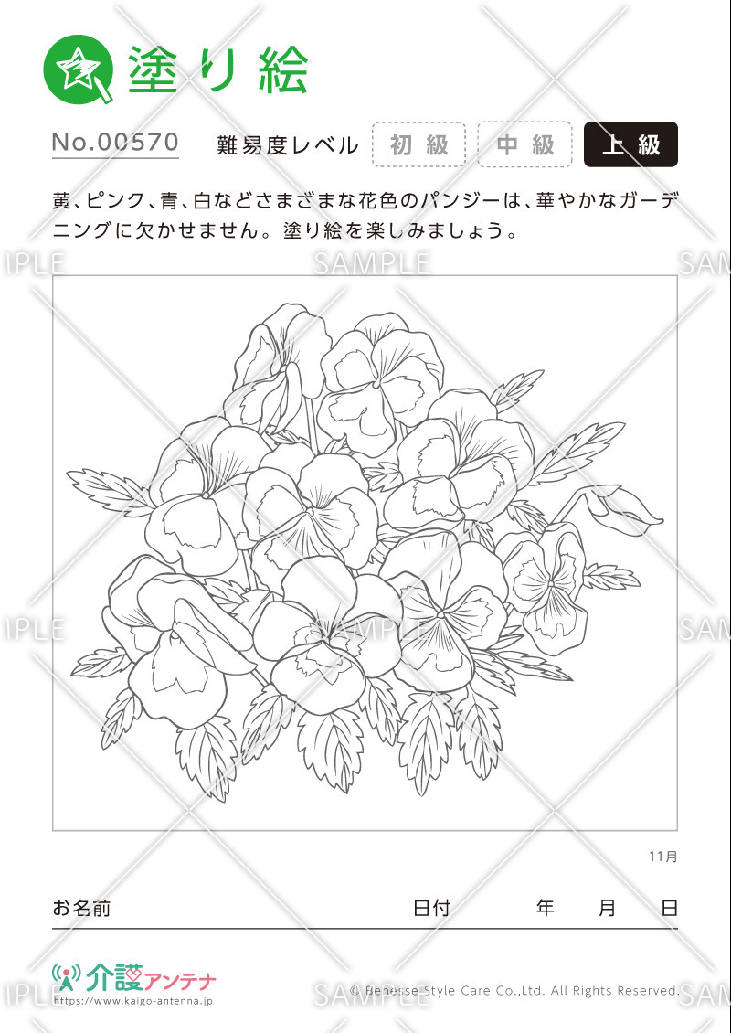塗り絵「11月の花 パンジー」- No.00570(高齢者向け塗り絵の介護レク素材)