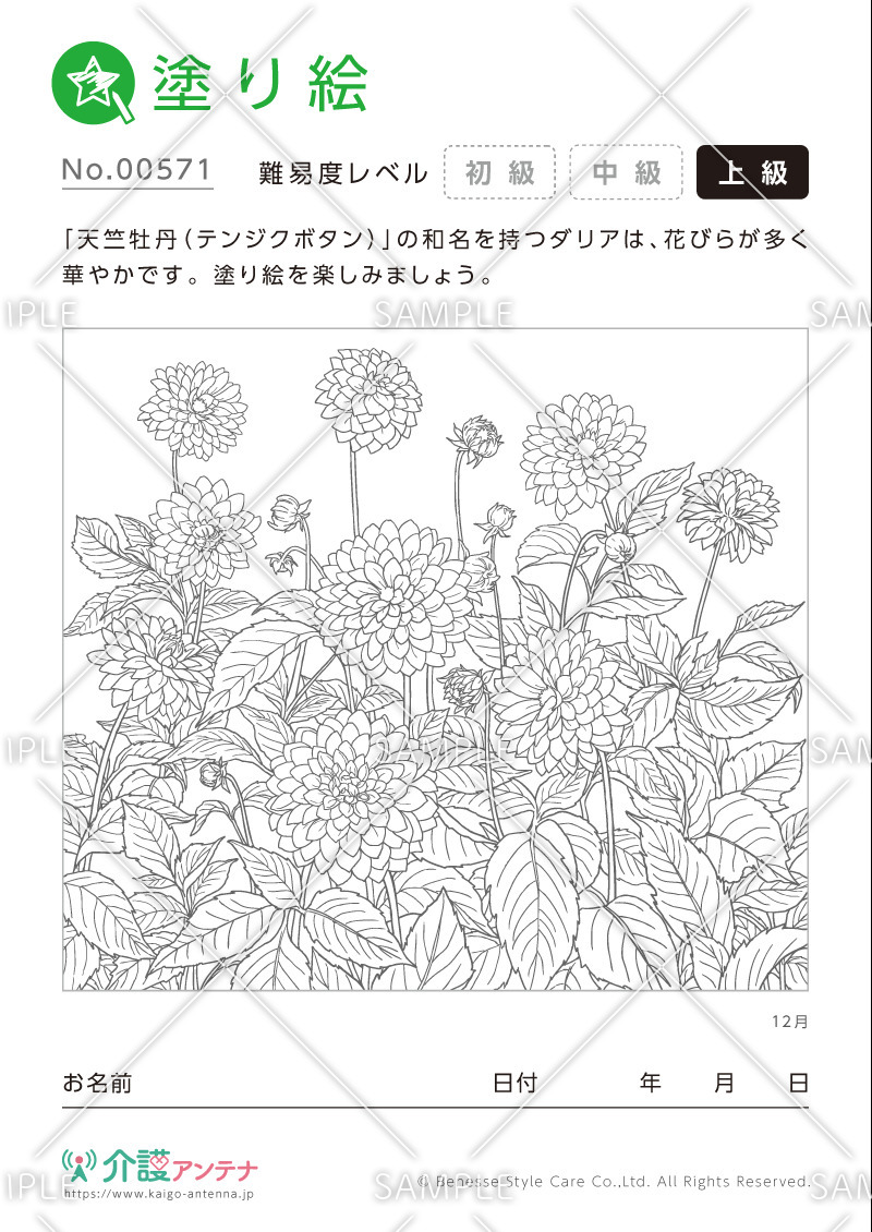 塗り絵「12月の花 ダリア」- No.00571(高齢者向け塗り絵の介護レク素材)