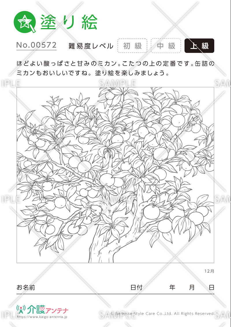 塗り絵「12月の植物 ミカン」- No.00572(高齢者向け塗り絵の介護レク素材)