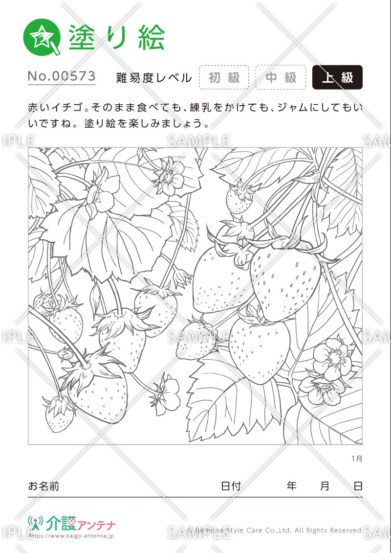 塗り絵「1月の植物 イチゴ」- No.00573(高齢者向け塗り絵の介護レク素材)