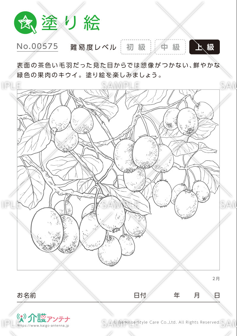 塗り絵「2月の植物 キウイ」- No.00575(高齢者向け塗り絵の介護レク素材)