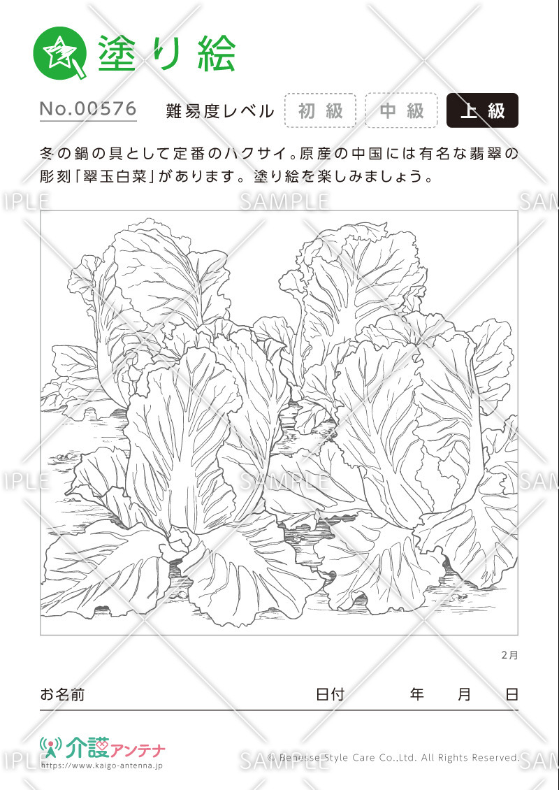 塗り絵「2月の植物 ハクサイ」- No.00576(高齢者向け塗り絵の介護レク素材)
