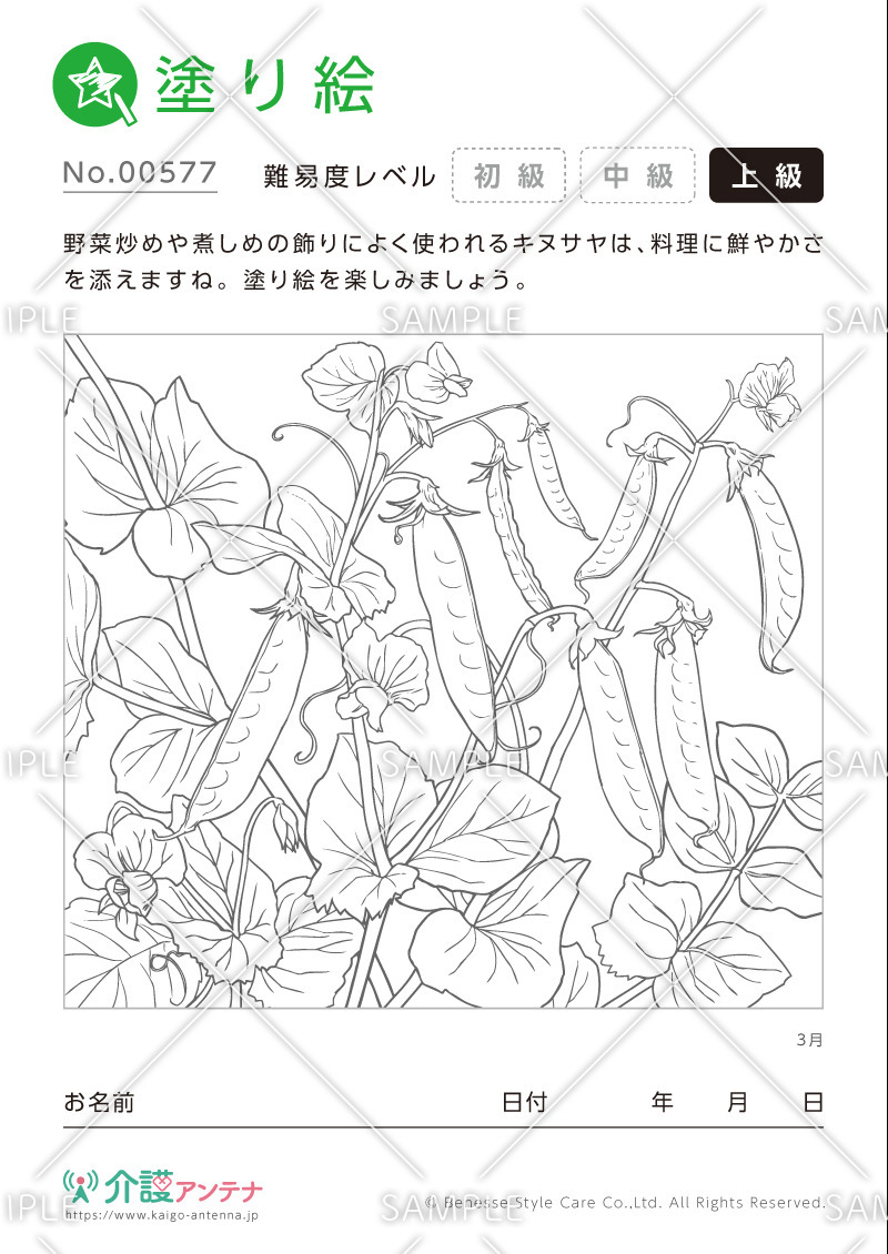 塗り絵「3月の植物 キヌサヤ」- No.00577(高齢者向け塗り絵の介護レク素材)
