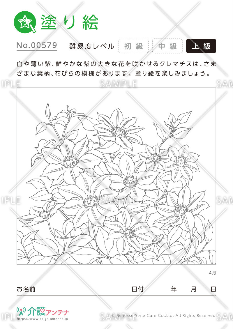 塗り絵「4月の花 クレマチス」- No.00579(高齢者向け塗り絵の介護レク素材)