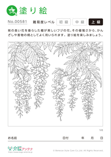 塗り絵「5月の花 藤」- No.00581(高齢者向け塗り絵の介護レク素材)