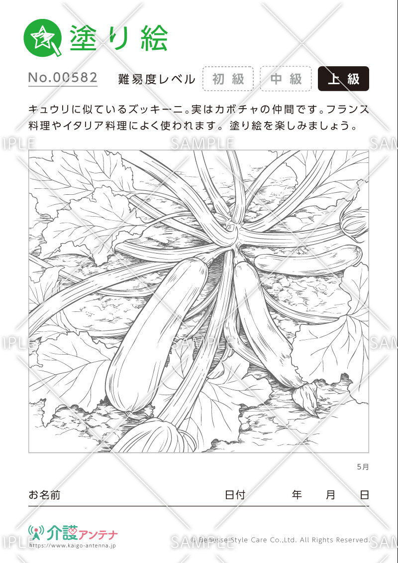 塗り絵「5月の植物 ズッキーニ」- No.00582(高齢者向け塗り絵の介護レク素材)