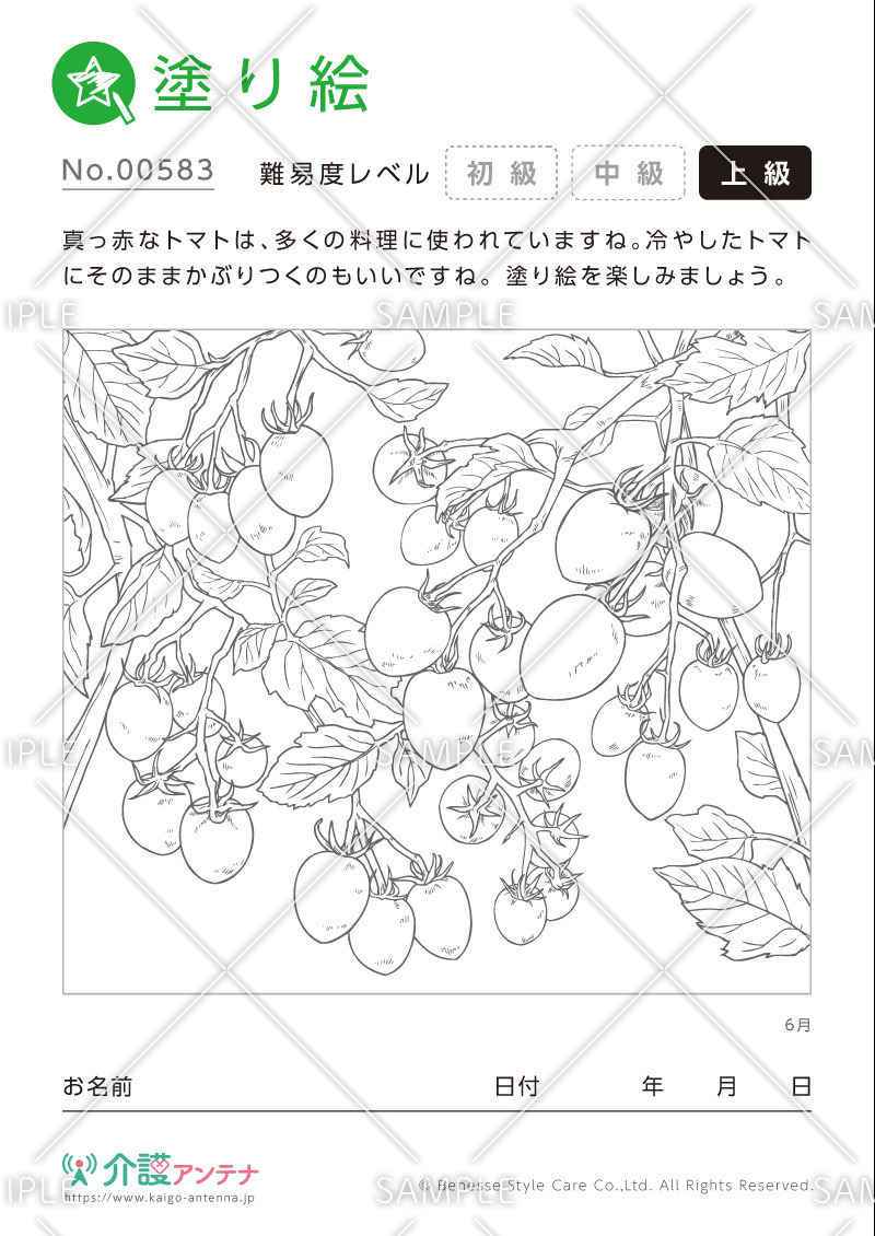 塗り絵「6月の植物 トマト」- No.00583(高齢者向け塗り絵の介護レク素材)