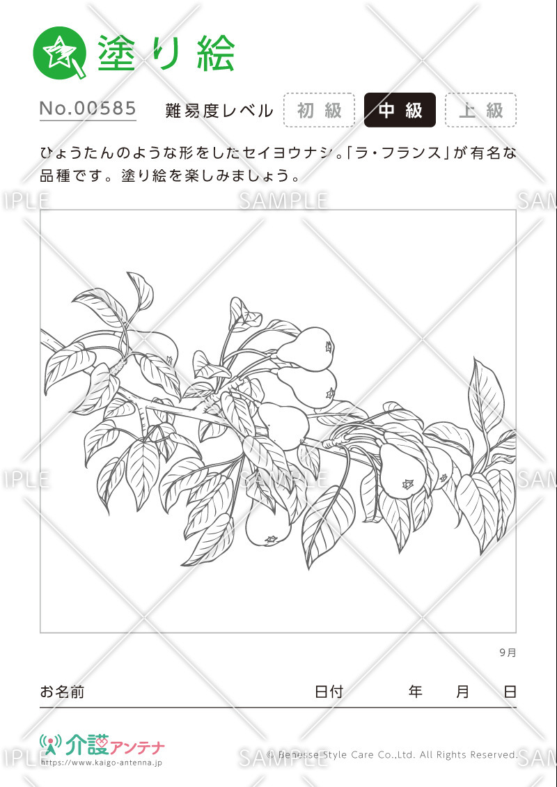 塗り絵「9月の植物 西洋梨」- No.00585(高齢者向け塗り絵の介護レク素材)
