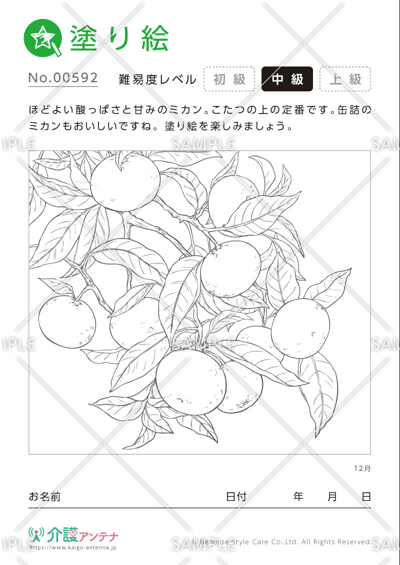 塗り絵「12月の植物 ミカン」- No.00592(高齢者向け塗り絵の介護レク素材)