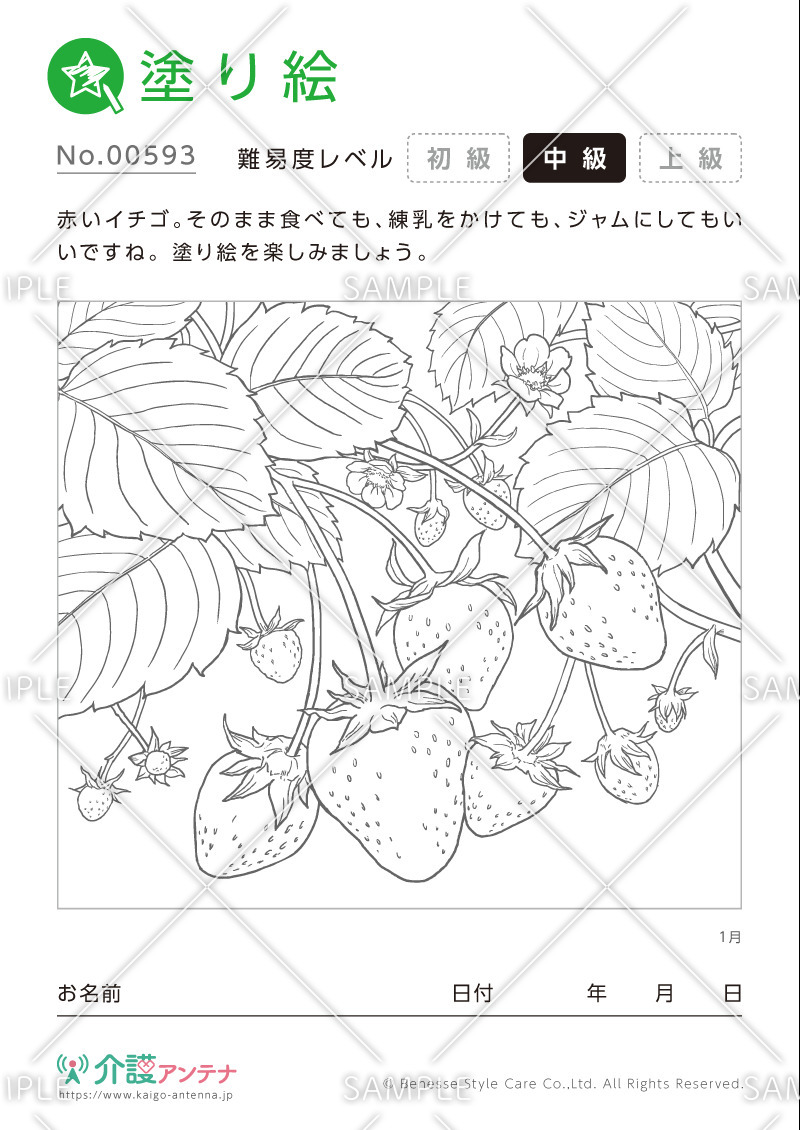 塗り絵「1月の植物 イチゴ」- No.00593(高齢者向け塗り絵の介護レク素材)