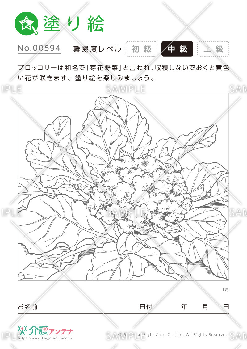 塗り絵「1月の植物 ブロッコリー」- No.00594(高齢者向け塗り絵の介護レク素材)