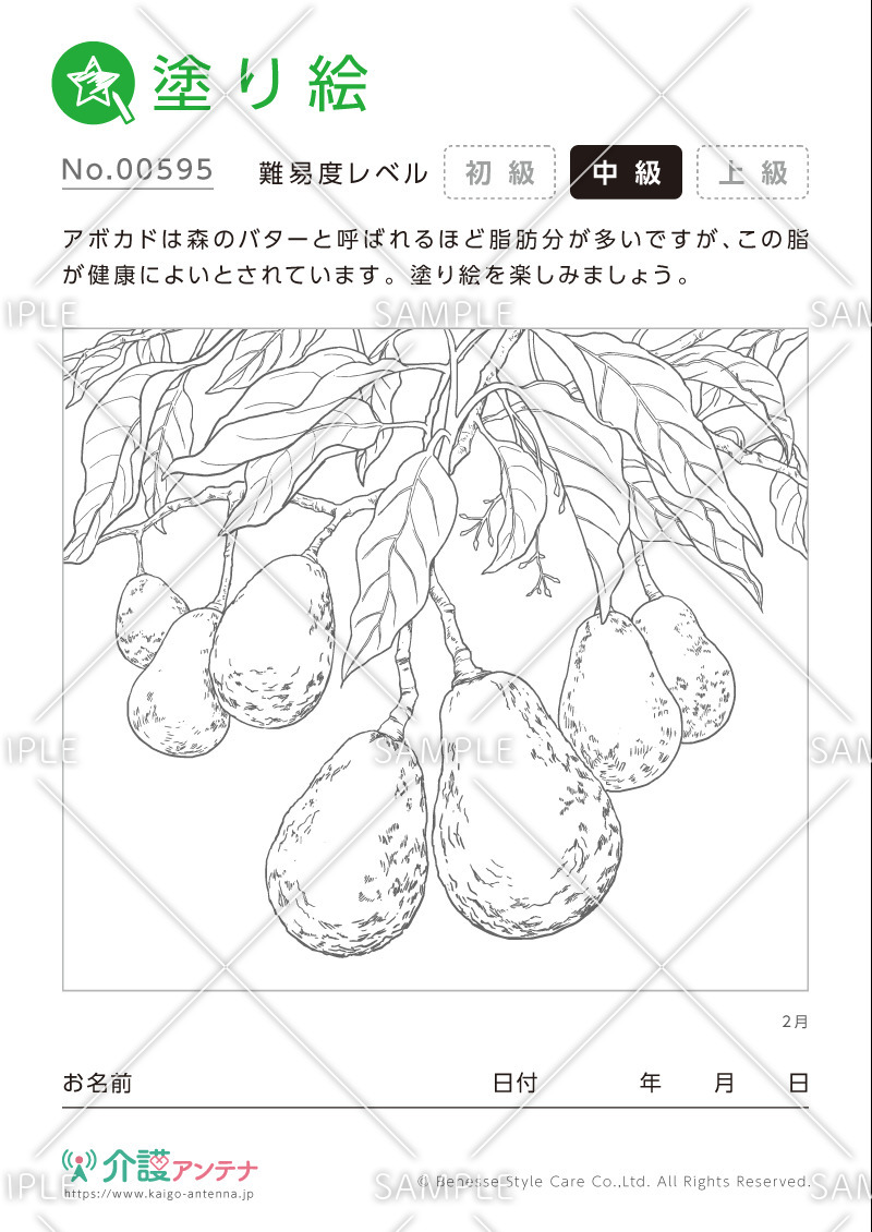 塗り絵「2月の植物 アボカド」- No.00595(高齢者向け塗り絵の介護レク素材)
