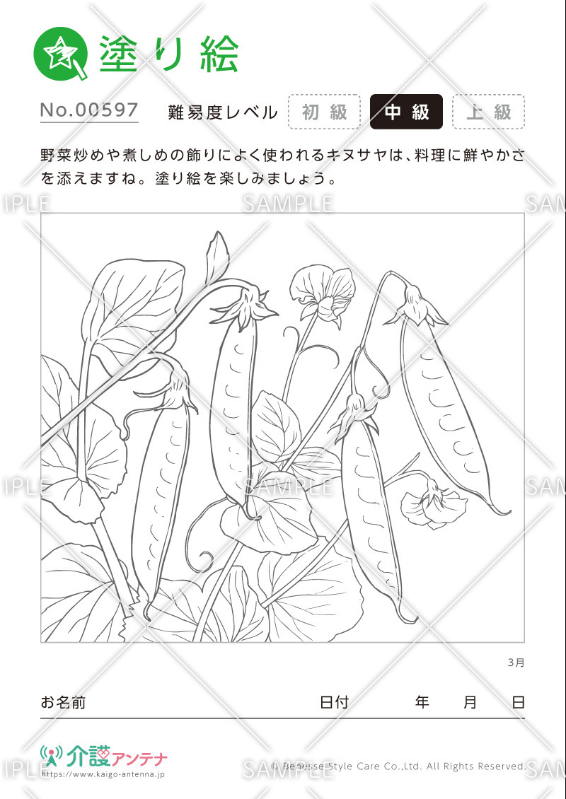 塗り絵「3月の植物 キヌサヤ」- No.00597(高齢者向け塗り絵の介護レク素材)