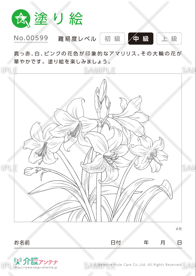 塗り絵「4月の花 アマリリス」- No.00599(高齢者向け塗り絵の介護レク素材)
