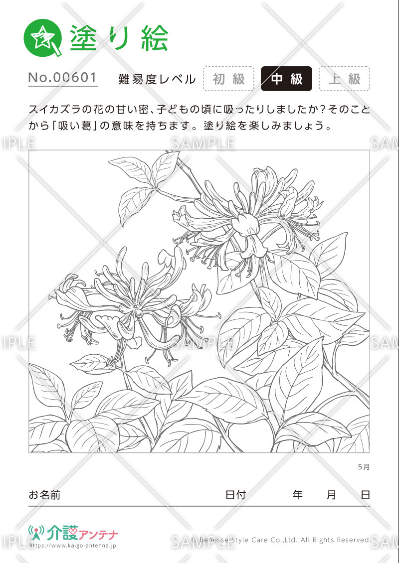 塗り絵「5月の花 スイカズラ」- No.00601(高齢者向け塗り絵の介護レク素材)