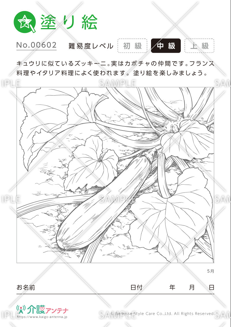 塗り絵「5月の植物 ズッキーニ」- No.00602(高齢者向け塗り絵の介護レク素材)