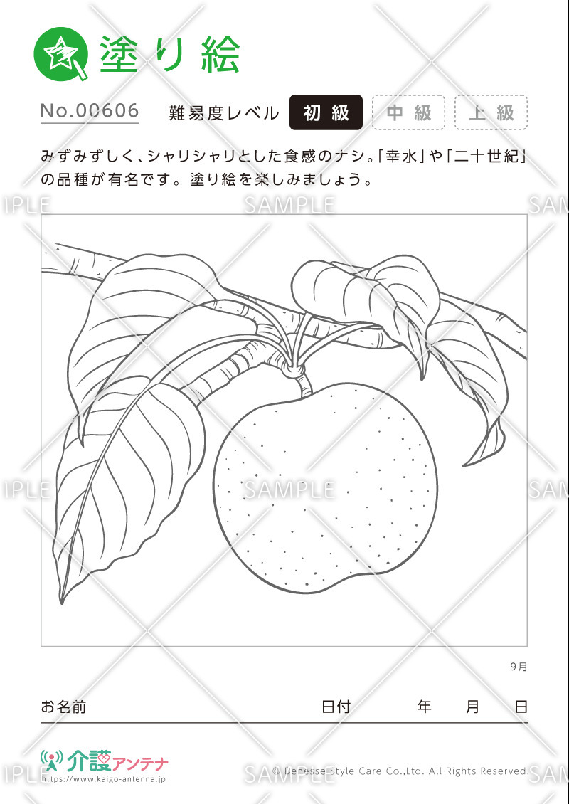 塗り絵「9月の植物 梨」- No.00606(高齢者向け塗り絵の介護レク素材)