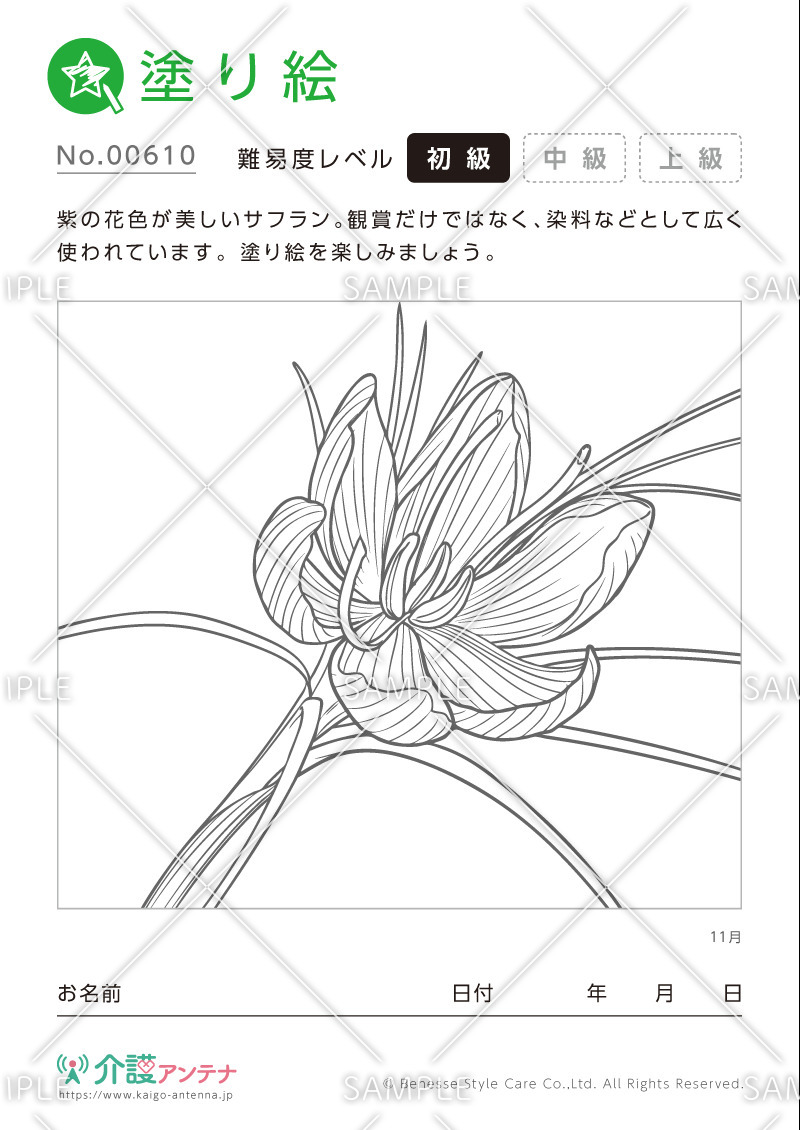 塗り絵「11月の花 サフラン」- No.00610(高齢者向け塗り絵の介護レク素材)