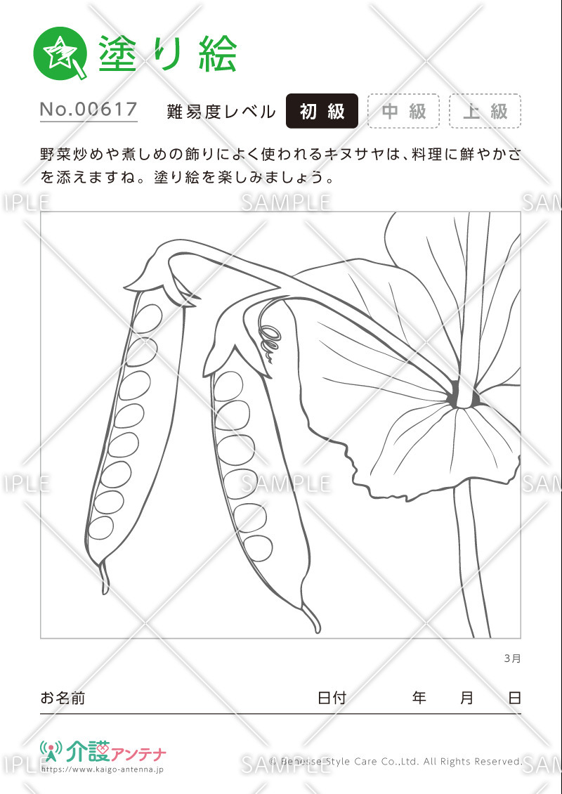 塗り絵「3月の植物 キヌサヤ」- No.00617(高齢者向け塗り絵の介護レク素材)