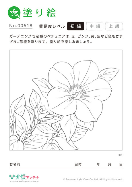 塗り絵「3月の花 ペチュニア」- No.00618(高齢者向け塗り絵の介護レク素材)