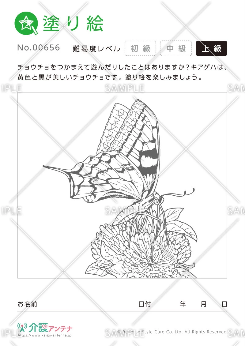 塗り絵「チョウチョ」 - No.00656(高齢者向け塗り絵の介護レク素材)
