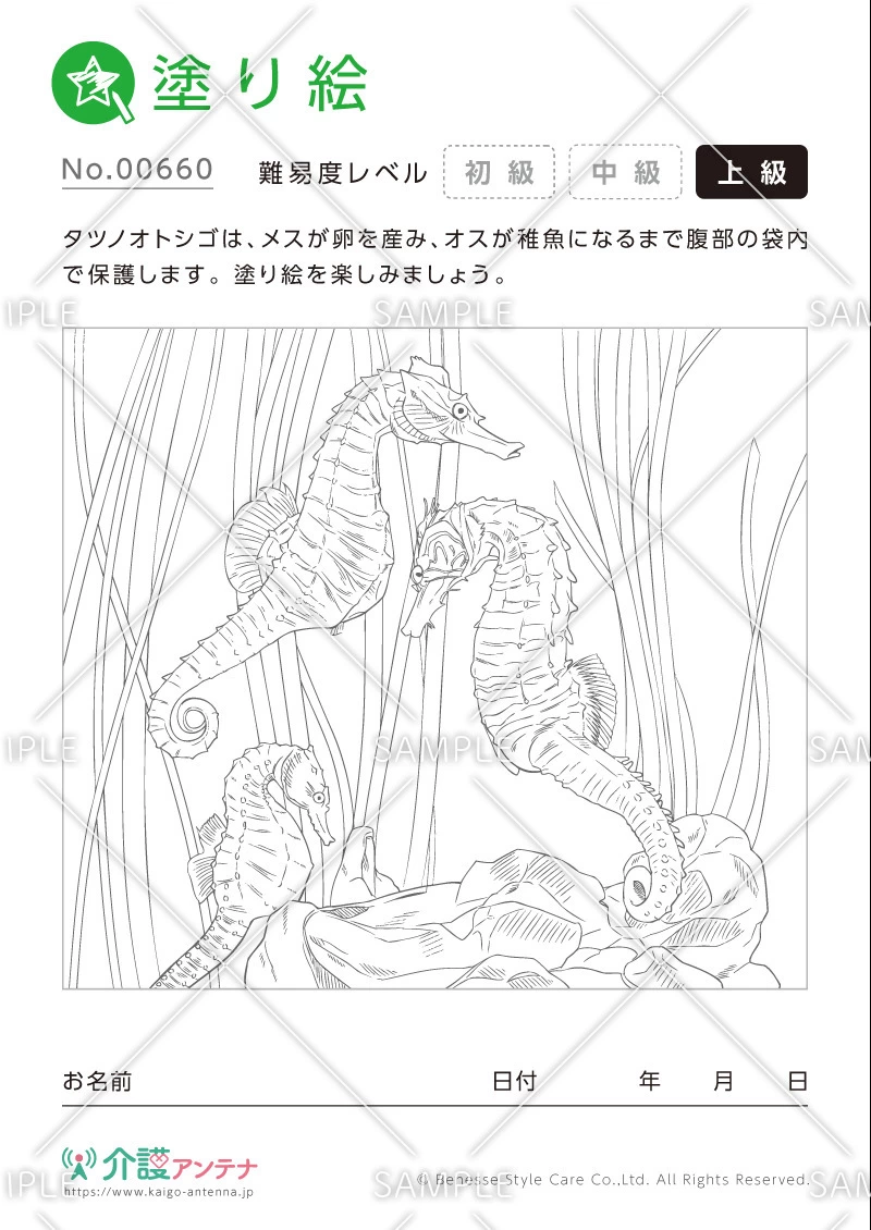 塗り絵「タツノオトシゴ」 - No.00660(高齢者向け塗り絵の介護レク素材)