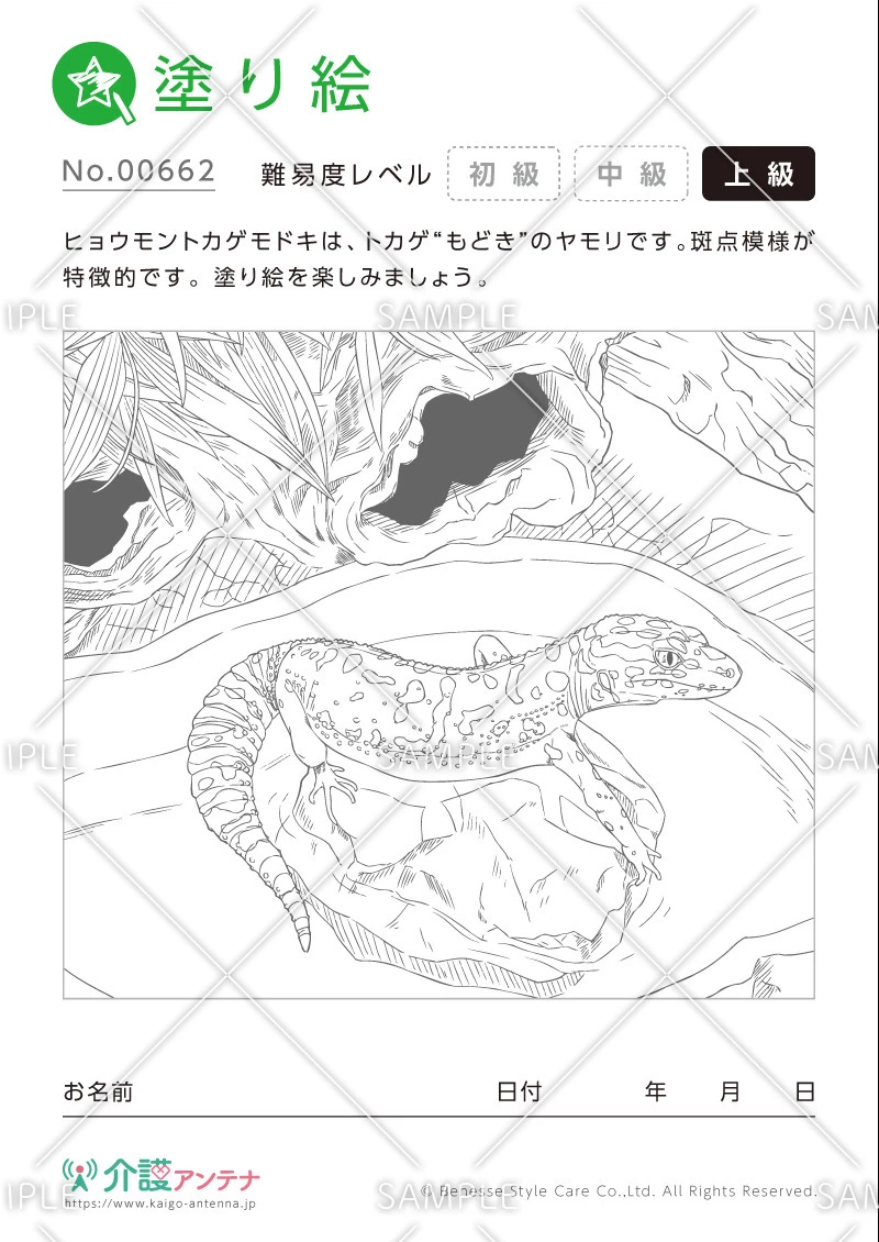 塗り絵「ヒョウモントカゲモドキ」 - No.00662(高齢者向け塗り絵の介護レク素材)