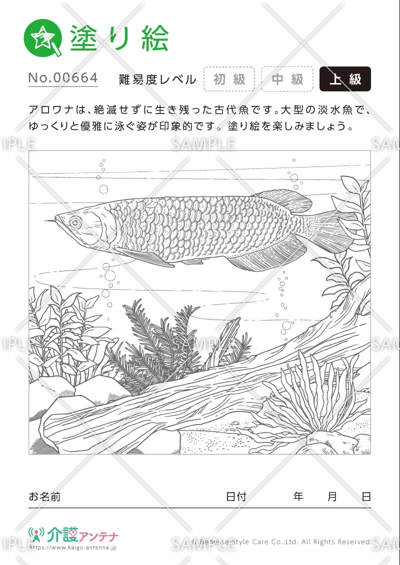 塗り絵「アロワナ」 - No.00664(高齢者向け塗り絵の介護レク素材)