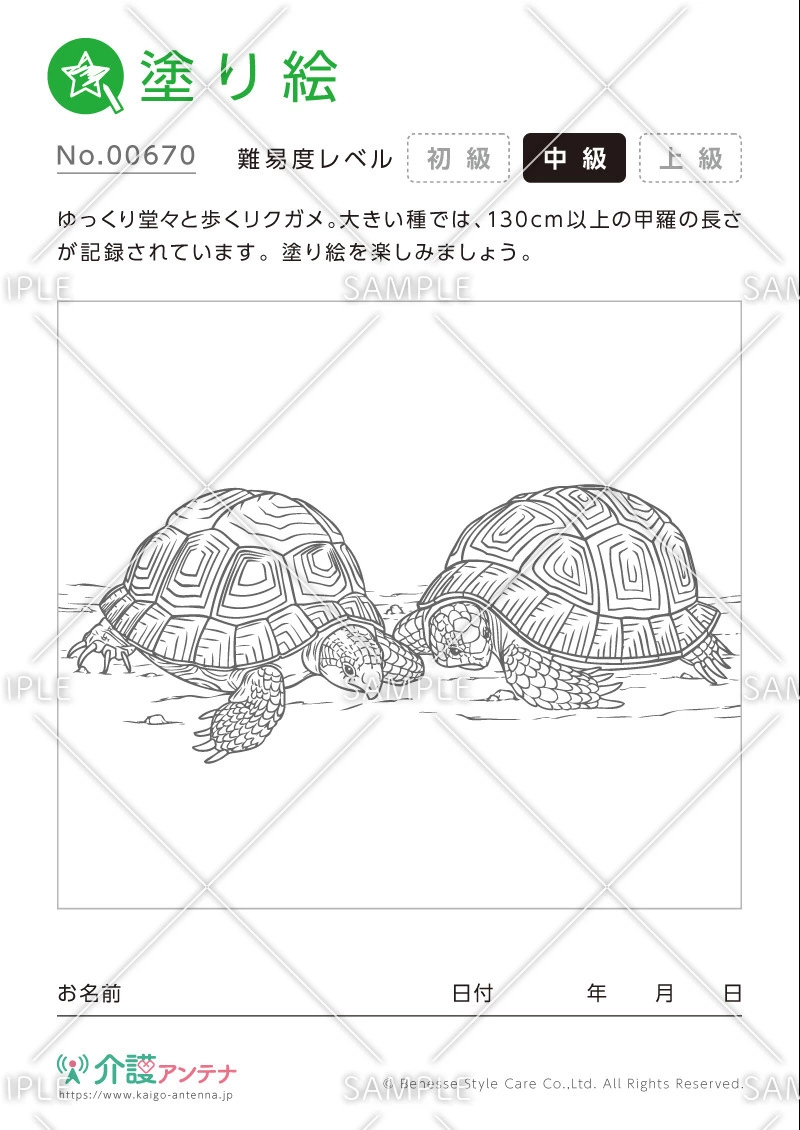 塗り絵「リクガメ（動物）」 - No.00670(高齢者向け塗り絵の介護レク素材)