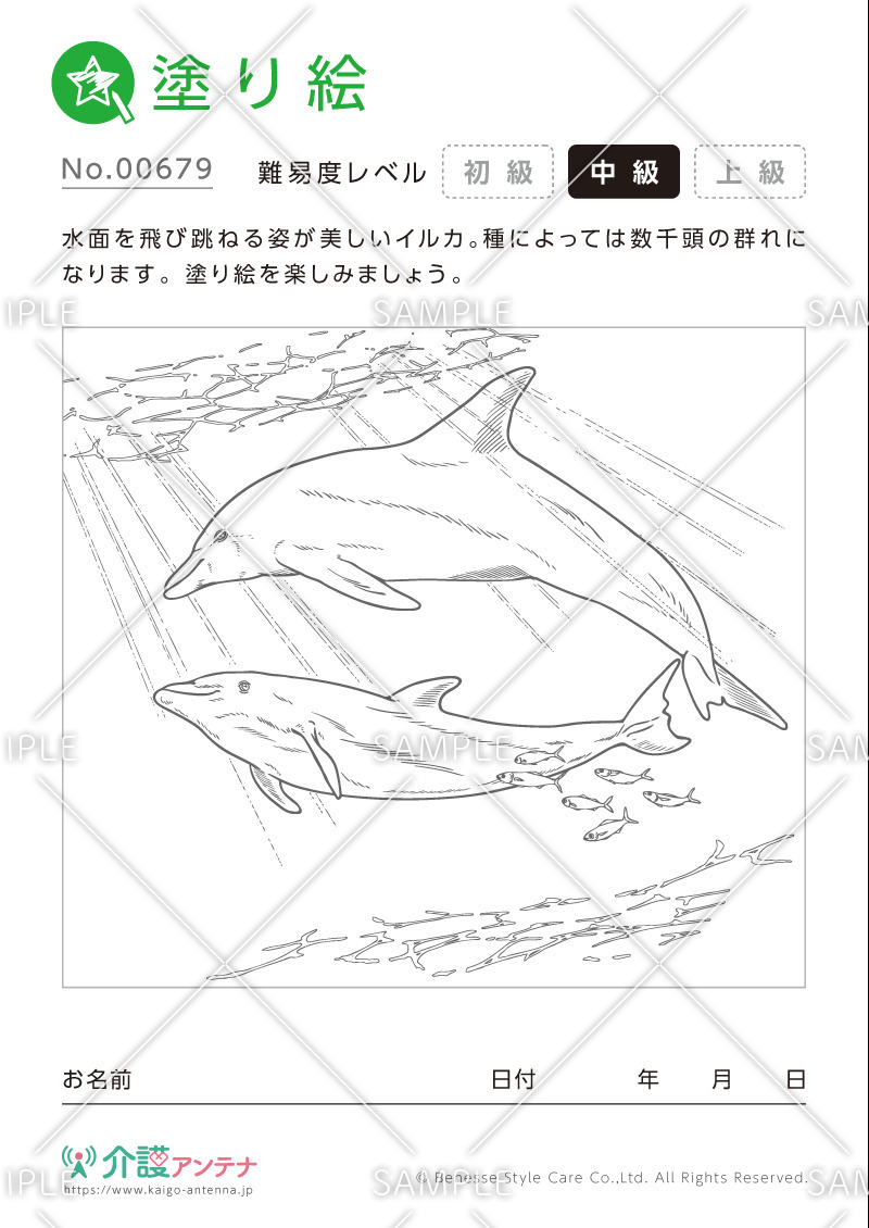 塗り絵「イルカ」 - No.00679(高齢者向け塗り絵の介護レク素材)
