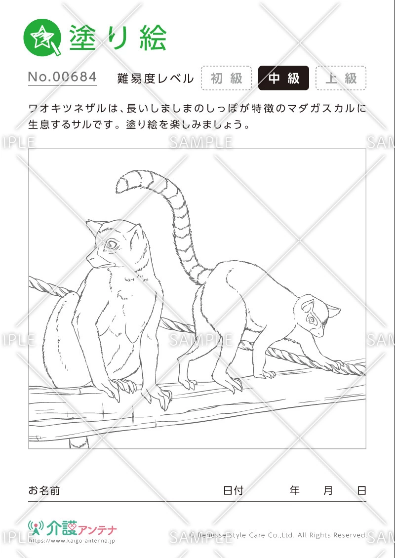 塗り絵「ワオキツネザル（動物）」 - No.00684(高齢者向け塗り絵の介護レク素材)