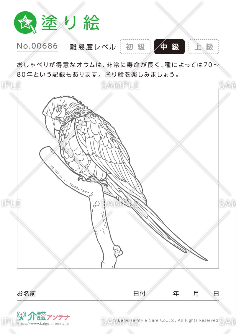 塗り絵「オウム（動物）」 - No.00686(高齢者向け塗り絵の介護レク素材)