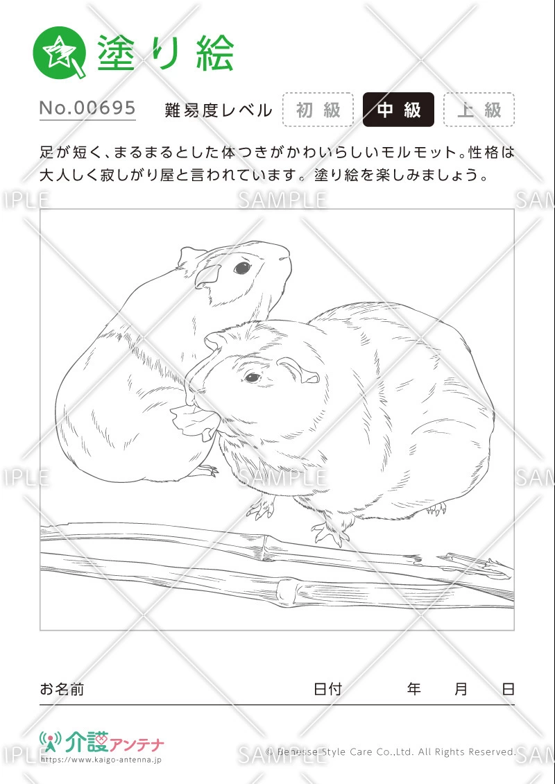 塗り絵「モルモット（動物）」 - No.00695(高齢者向け塗り絵の介護レク素材)