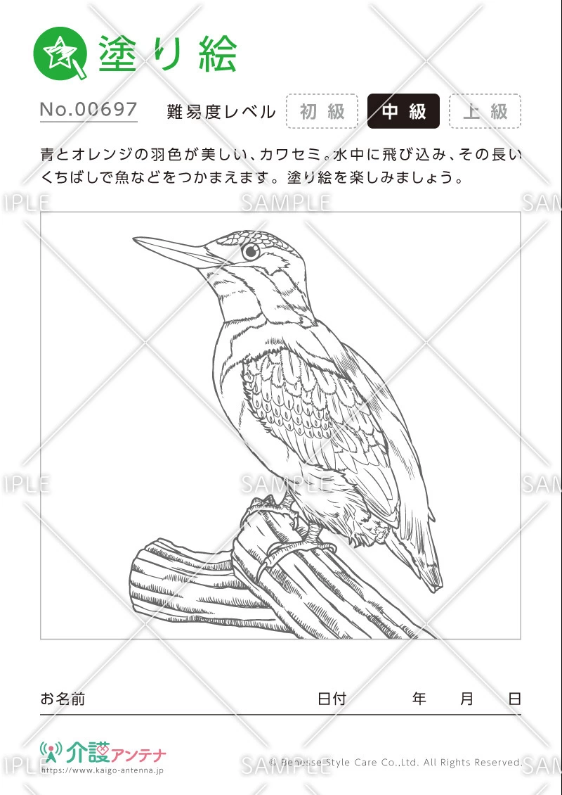 塗り絵「カワセミ（動物）」 - No.00697(高齢者向け塗り絵の介護レク素材)
