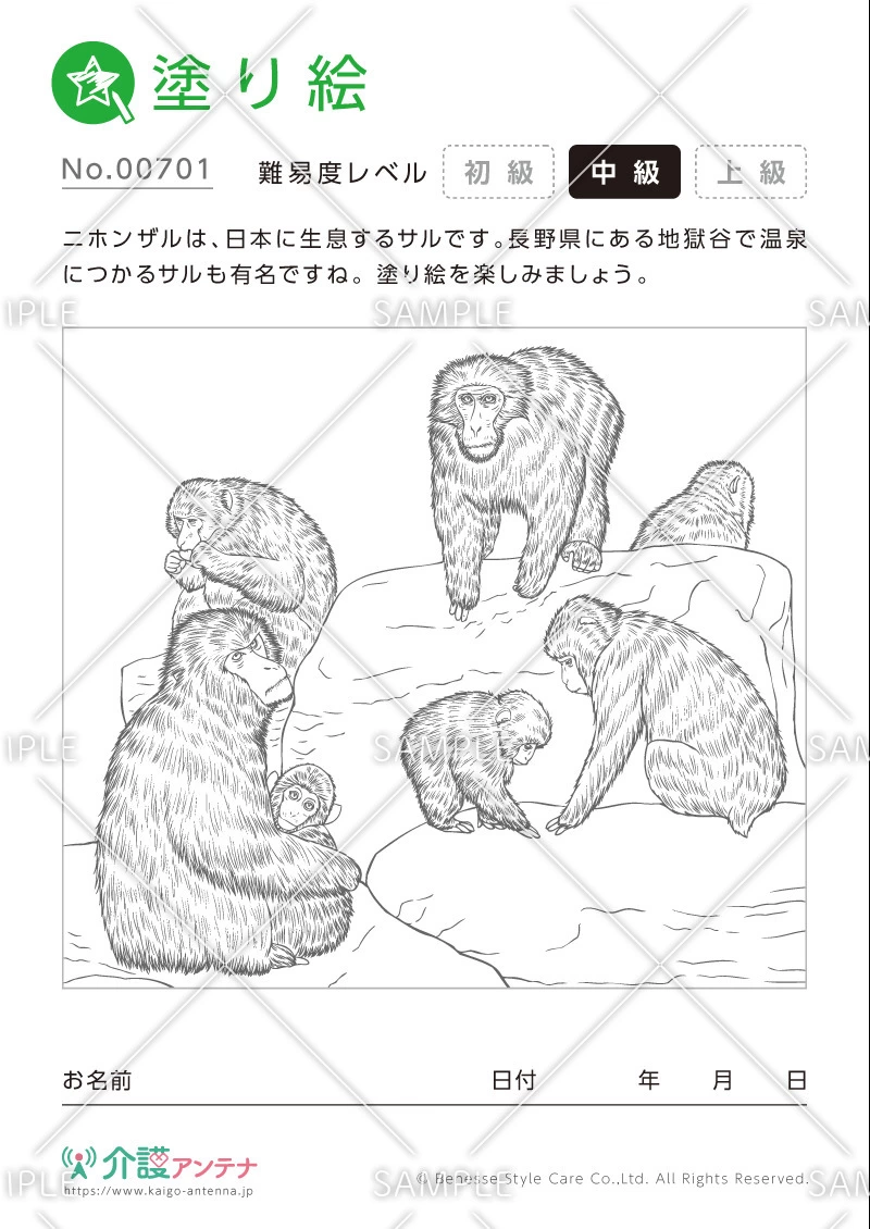 塗り絵「ニホンザル（動物）」 - No.00701(高齢者向け塗り絵の介護レク素材)