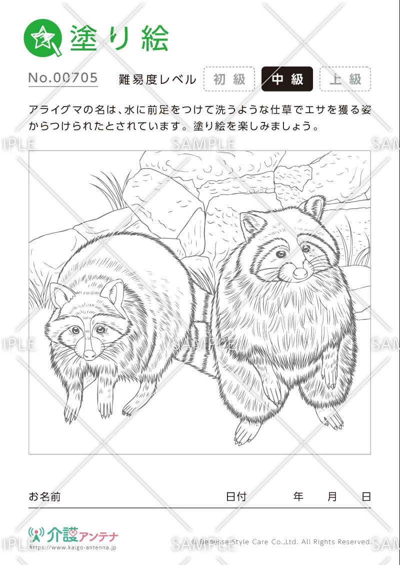 塗り絵「アライグマ（動物）」 - No.00705(高齢者向け塗り絵の介護レク素材)