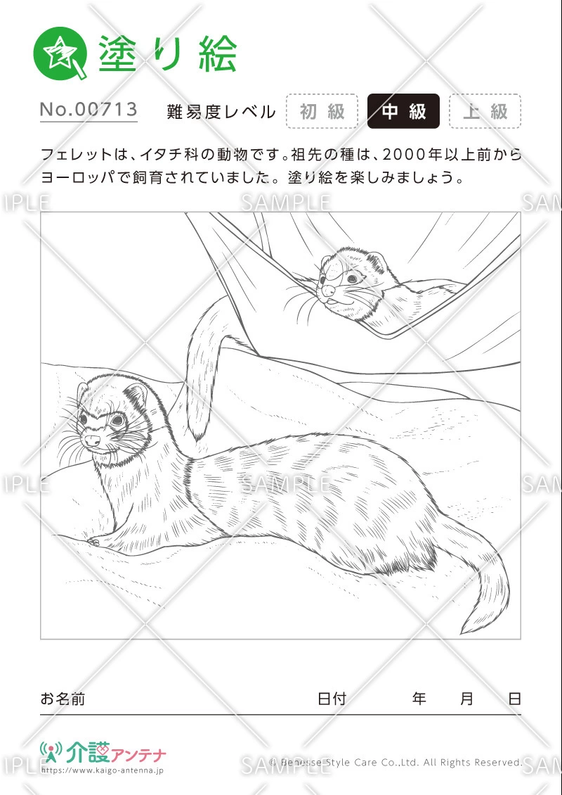 塗り絵「フェレット（動物）」 - No.00713(高齢者向け塗り絵の介護レク素材)