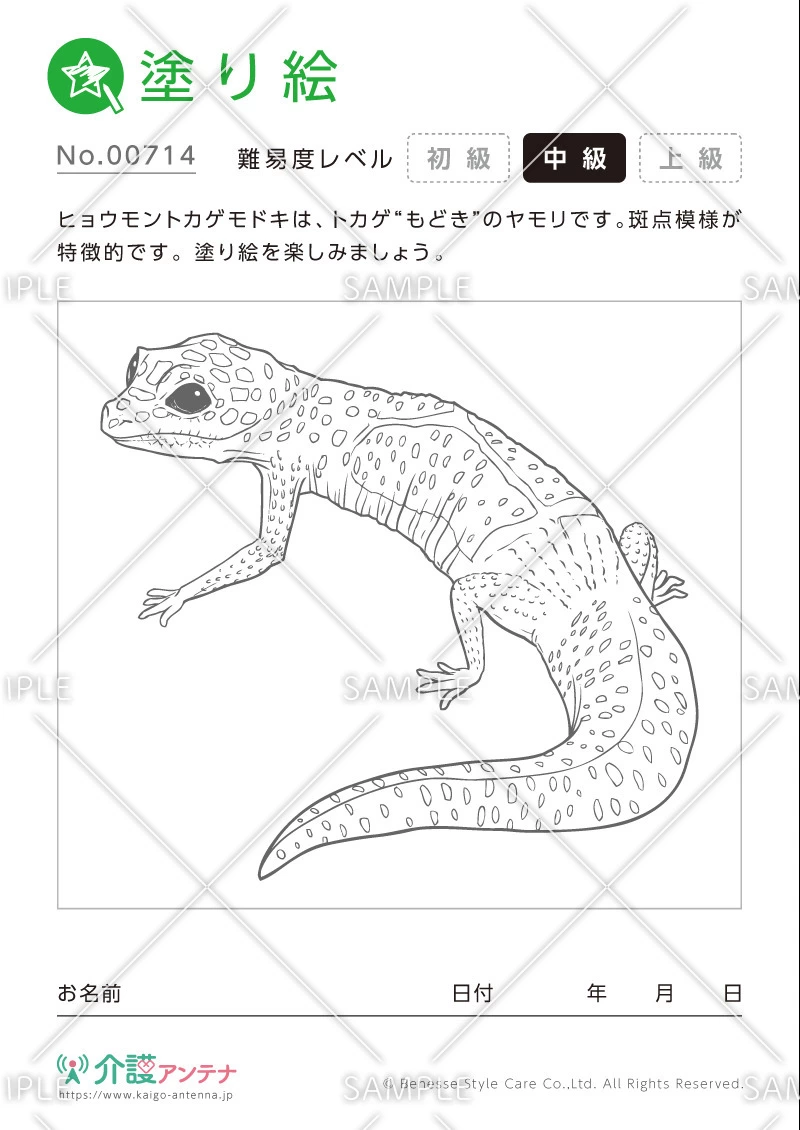 塗り絵「ヒョウモントカゲモドキ」 - No.00714(高齢者向け塗り絵の介護レク素材)