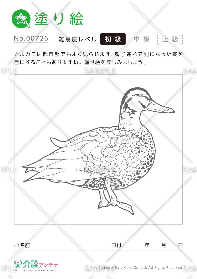 塗り絵「カルガモ（動物）」 - No.00726(高齢者向け塗り絵の介護レク素材)