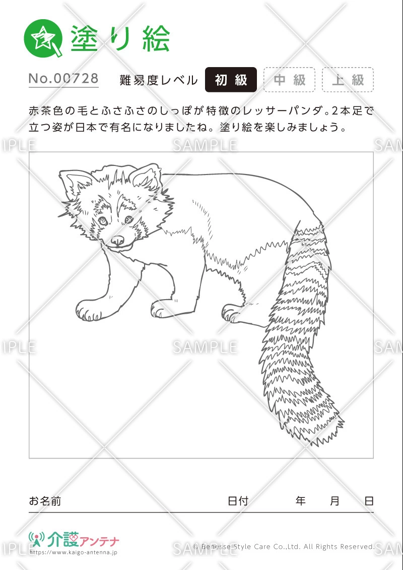 塗り絵「レッサーパンダ（動物）」 - No.00728(高齢者向け塗り絵の介護レク素材)