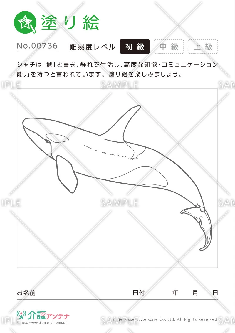 塗り絵「シャチ（動物）」 - No.00736(高齢者向け塗り絵の介護レク素材)