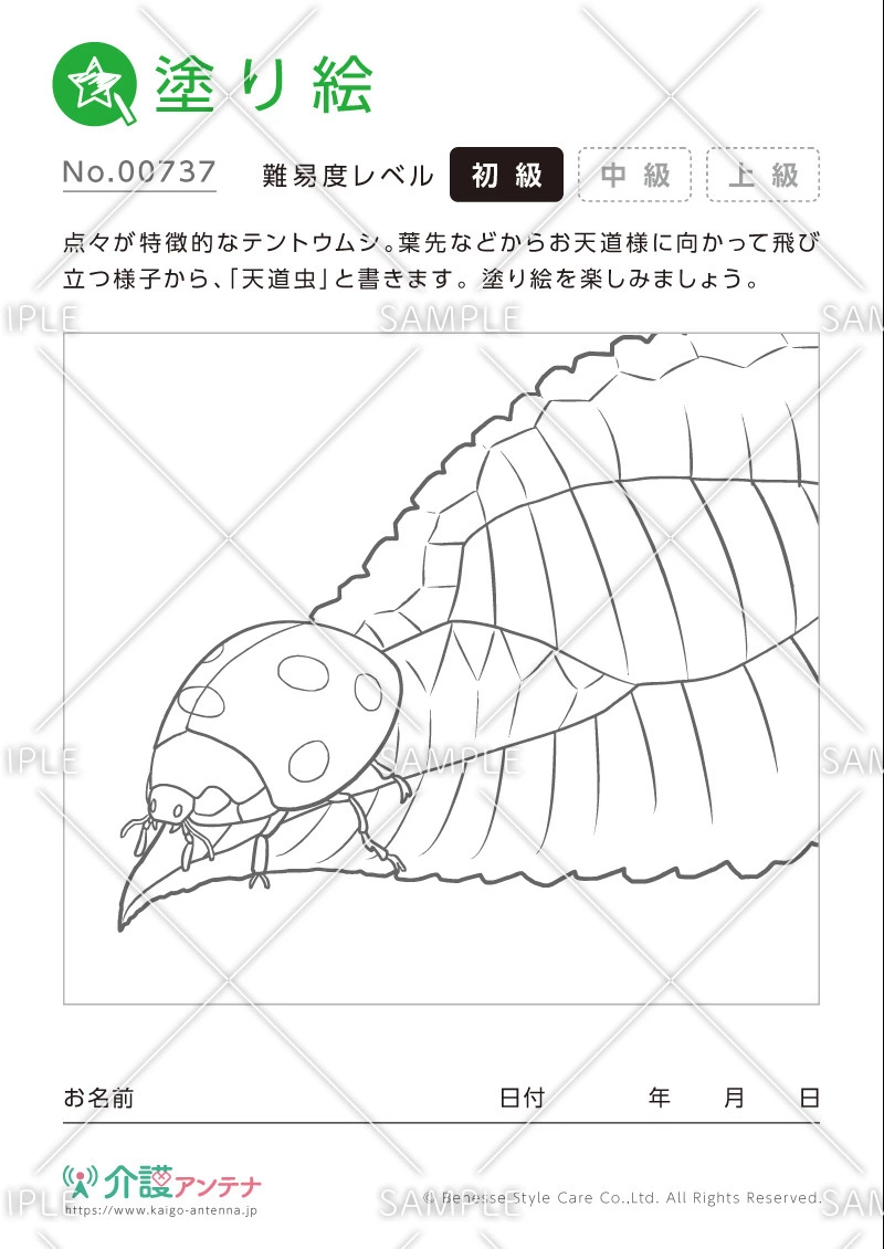 塗り絵「テントウムシ」 - No.00737(高齢者向け塗り絵の介護レク素材)