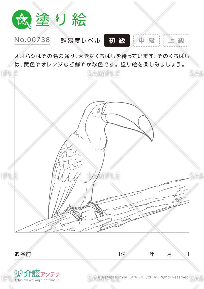 塗り絵「オオハシ（動物）」 - No.00738(高齢者向け塗り絵の介護レク素材)