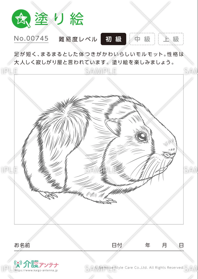 塗り絵「モルモット（動物）」 - No.00745(高齢者向け塗り絵の介護レク素材)