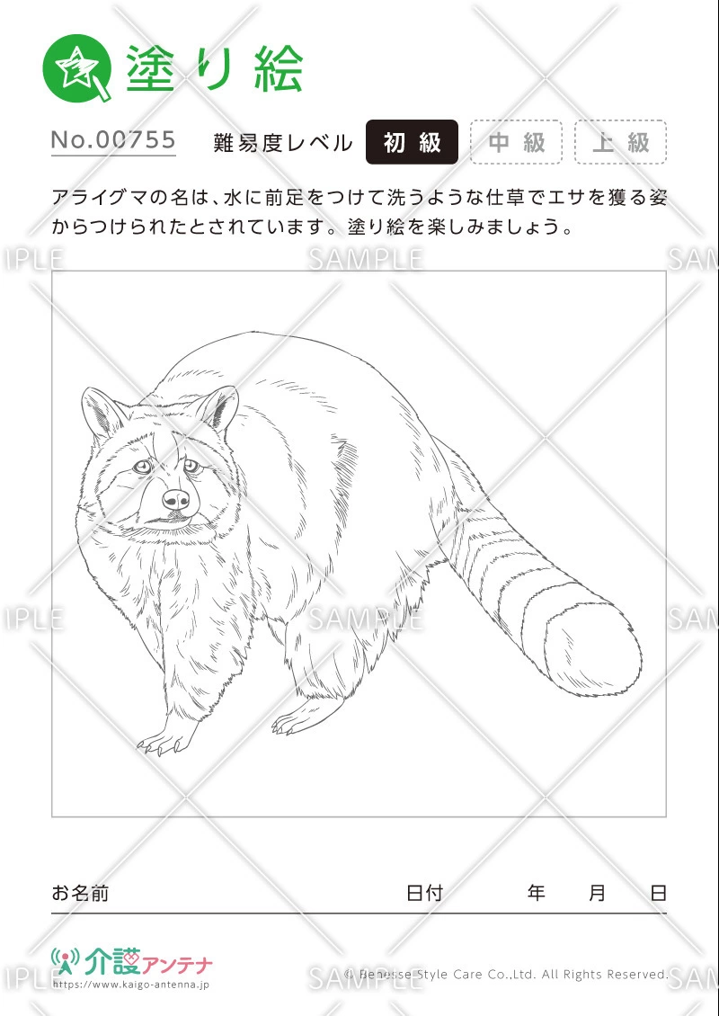 塗り絵「アライグマ（動物）」 - No.00755(高齢者向け塗り絵の介護レク素材)