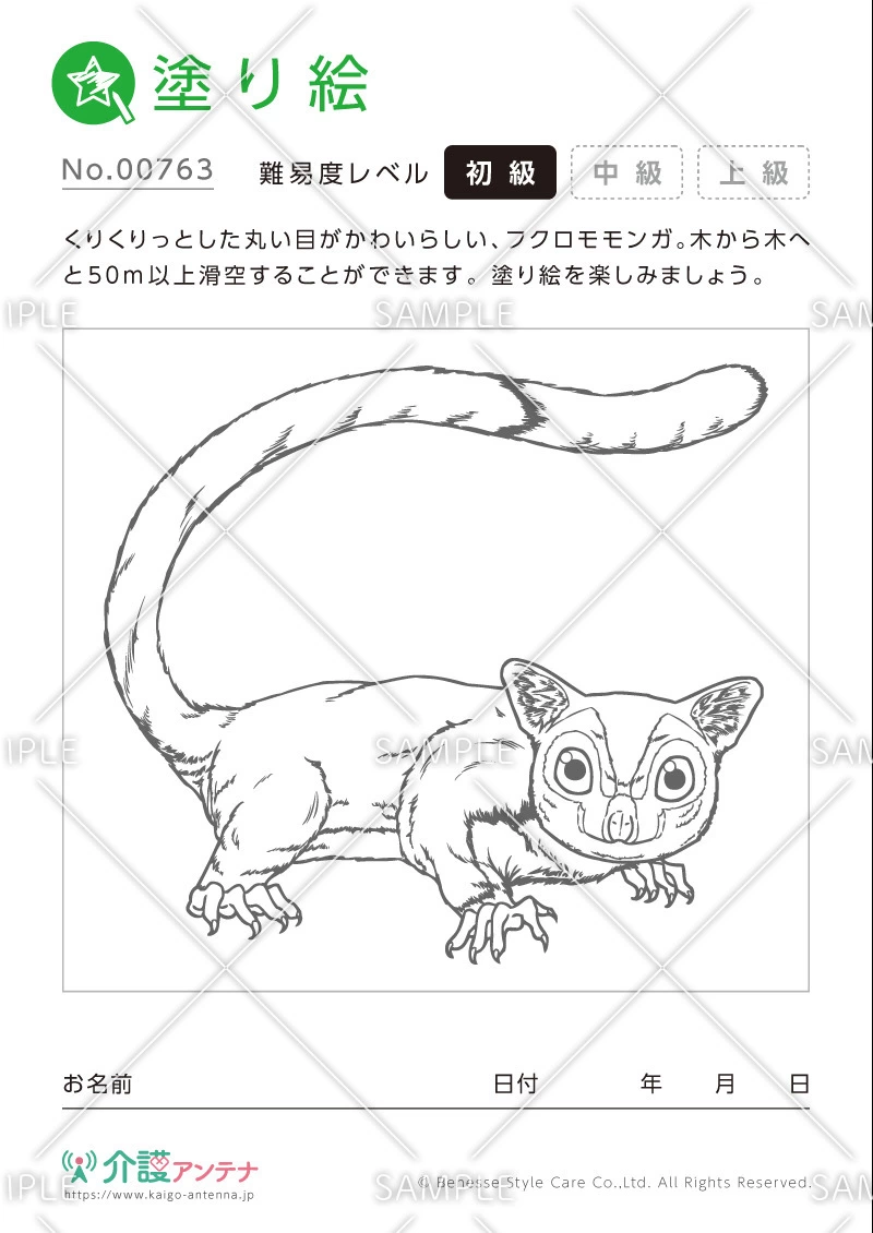 塗り絵「フクロモモンガ（動物）」 - No.00763(高齢者向け塗り絵の介護レク素材)